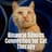 Cat Music Relaxation