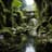 Ambiente de selva tropical