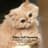 The Jazz Cats