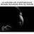 Womb Sounds Heartbeat