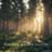 Relaxing Nature Sounds