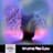 Aural Tranquility