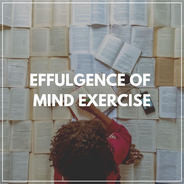 Effulgence of Mind Exercise - Exam Study