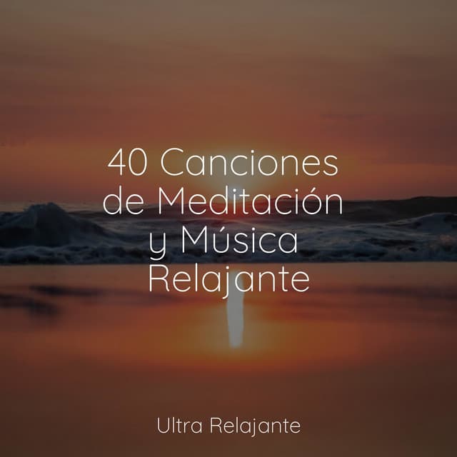 40 Canciones de Meditación y Música Relajante - Zona Música Relaxante