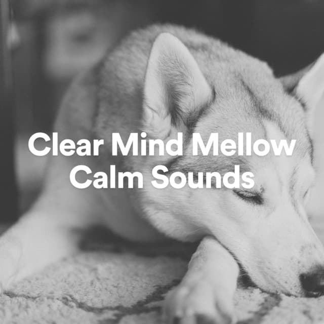 Clear Mind Mellow Calm Sounds - Dreamy White Noise