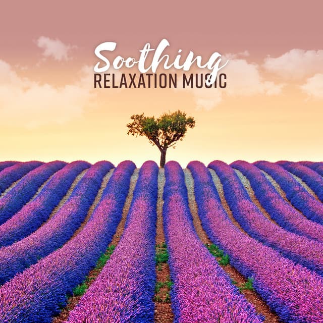 Soothing Relaxation Music - Mental Clarity, Inner Balance, Wellness - Bedtime Stories Unit