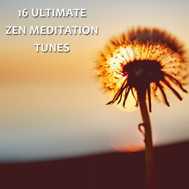 16 Ultimate Zen Meditation Tunes - Meditation Zen Master