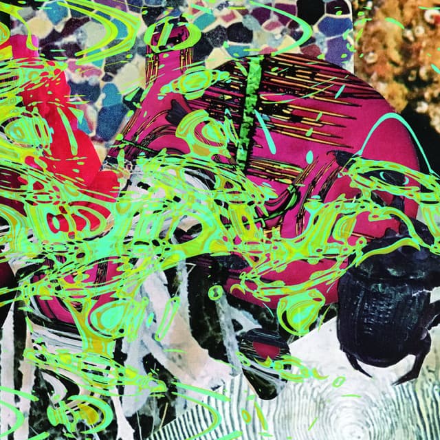 Beetle - Merzbow
