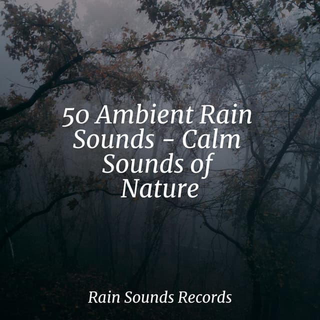 50 Ambient Rain Sounds - Calm Sounds of Nature - Yoga