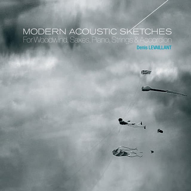 Modern Acoustic Sketches - Denis Levaillant