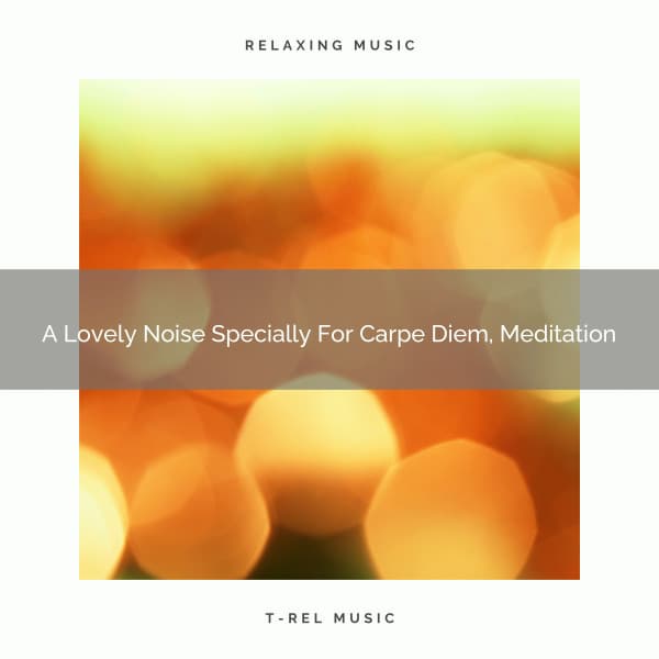 A Lovely Noise Specially For Carpe Diem, Meditation - White Noise Pleasant Sounds