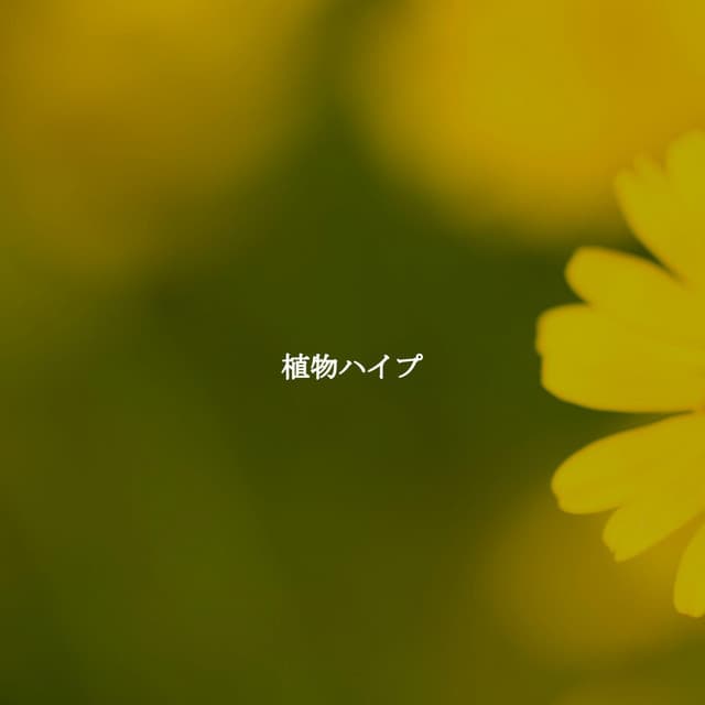 植物ハイプ - Work from Home