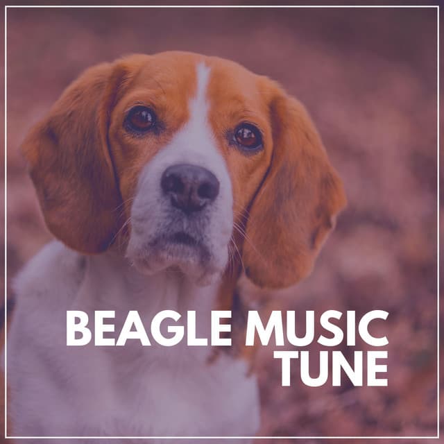 Beagle Music Tune - Puppy Music