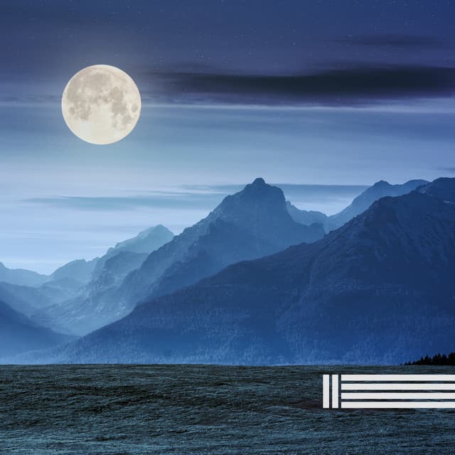 Cicada Sounds - Night Sounds