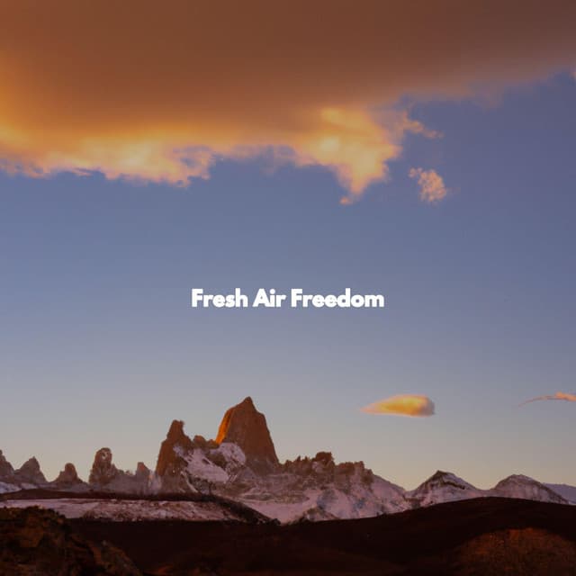 Fresh Air Freedom - Smooth Deluxe Dinner Jazz Group