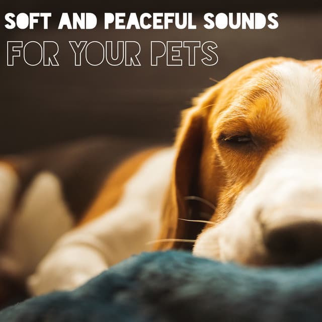 Soft and Peaceful Sounds for Your Pets: Sleeping Dog Music and Deep Relaxation - Calm Pets Music Academy