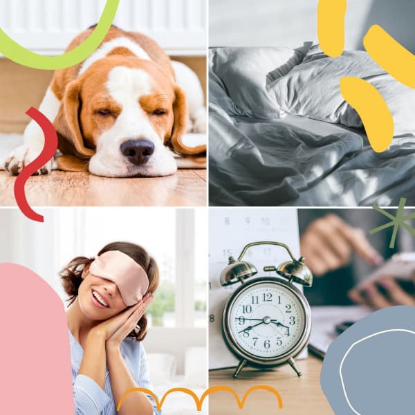 Indian Chill Out Music - Ambiance for Sleeping In - Afternoon Recharge