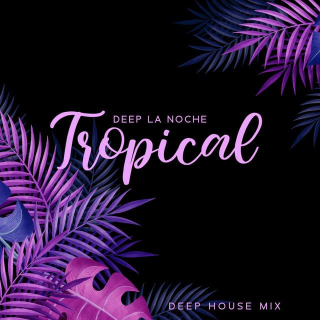 Deep La Noche: Tropical Deep House Mix, Summer Bounce in Paradise, Sexy Chillout Vibes - Siesta Electronic Chillout Collection