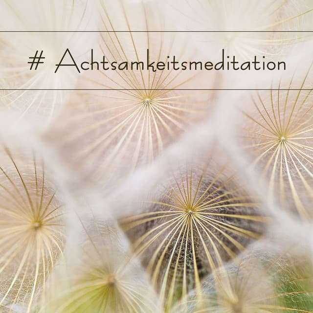 # Achtsamkeitsmeditation: 2 Stunden Meditationsmusik mit Naturgeräuschen - Buddhistische Meditationszone