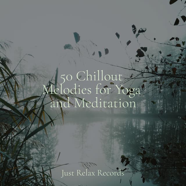 50 Chillout Melodies for Yoga and Meditation - Binaural Beats Brainwave Entrainment