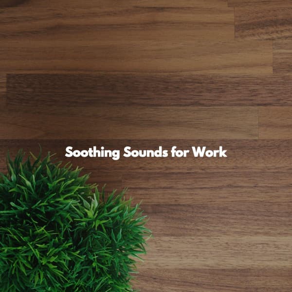 Soothing Sounds for Work - Reading Background Music Playlist