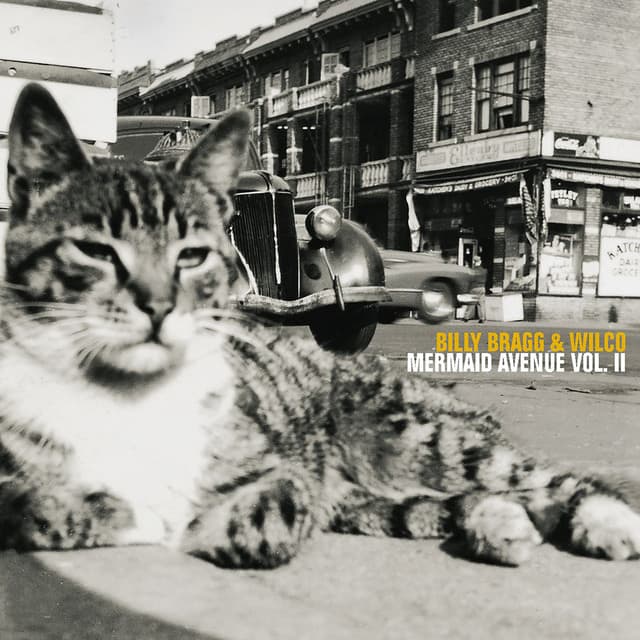 Mermaid Avenue Vol. II - Billy Bragg