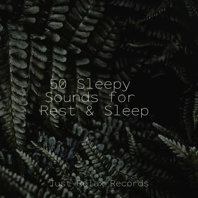 50 Sleepy Sounds for Rest & Sleep - Sleep Music Lullabies