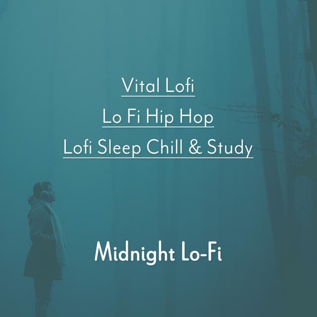 Midnight Lo-Fi - Vital Lofi