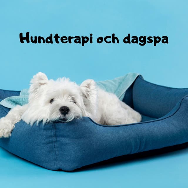 Dogotherapy