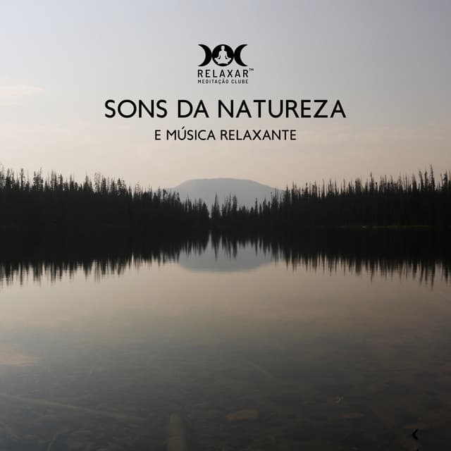 Sons Da Natureza E Música Relaxante - Ambiente De Floresta, Cantos De Pássaros, Sons De Rio - Relaxar Meditação Clube