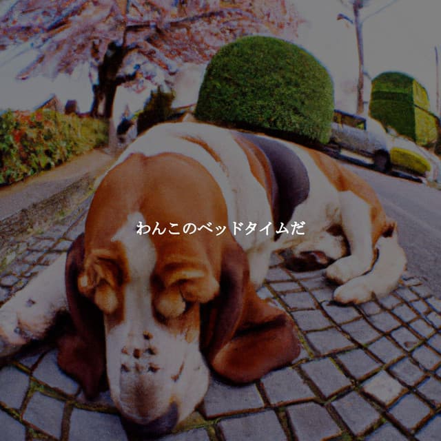 わんこのベッドタイムだ - Jazz Piano Bar