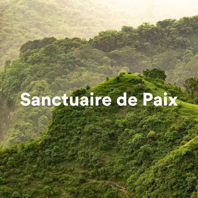 Sanctuaire de paix - Musique Zen Garden