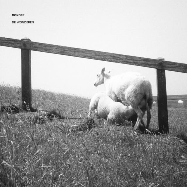 De Wonderen - Donder