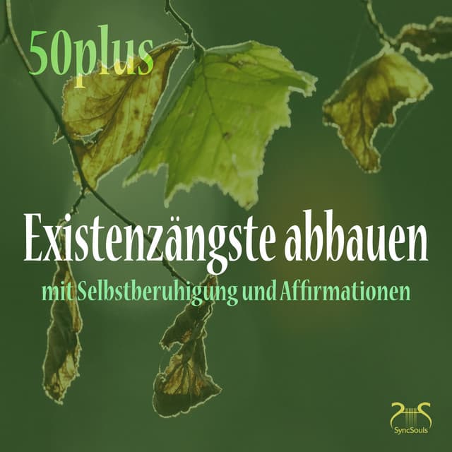 Existenzängste Abbauen  mit Selbstberuhigung und Affirmationen - Torsten Abrolat