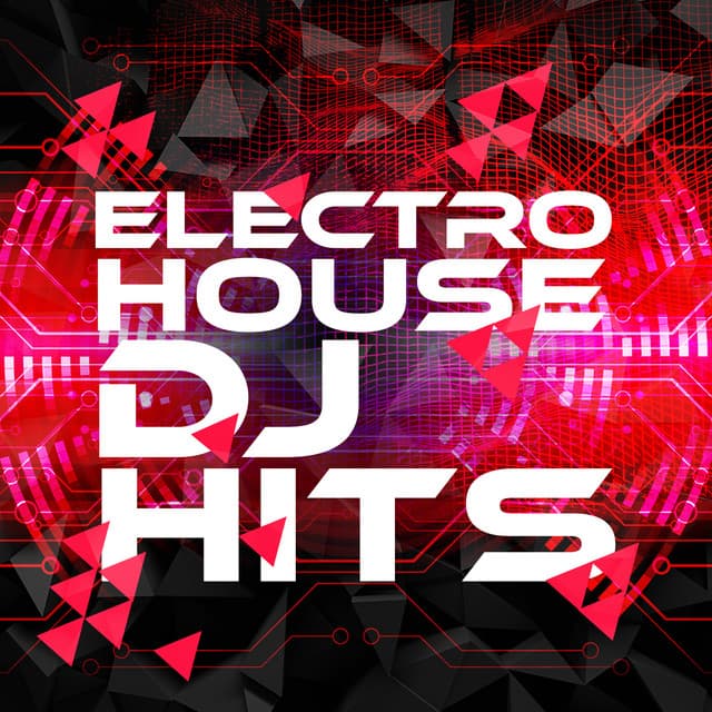 Electro House DJ Hits - Electro House DJ