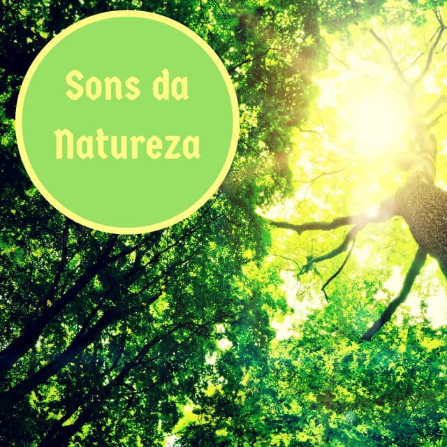 Sons da Natureza - Som do Oceano para Relaxar, Bem-Estar e Serenidade Profunda - Natureza