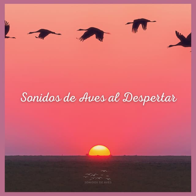 Sonidos de Aves al Despertar - Sonidos De Aves