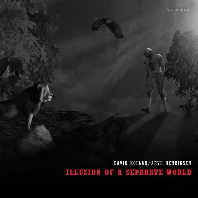 Illusion of a Separate World - David Kollar