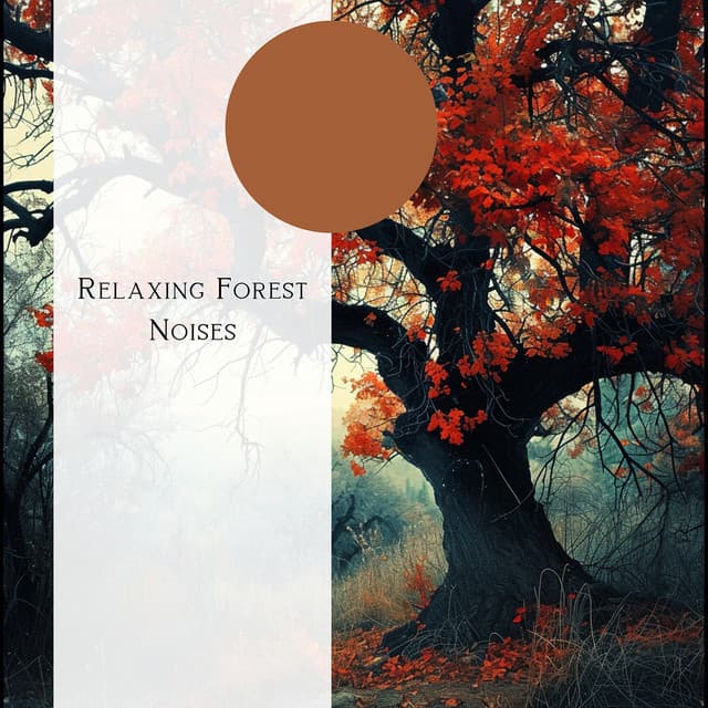 Relaxing Forest Noises - Natural Forest FX