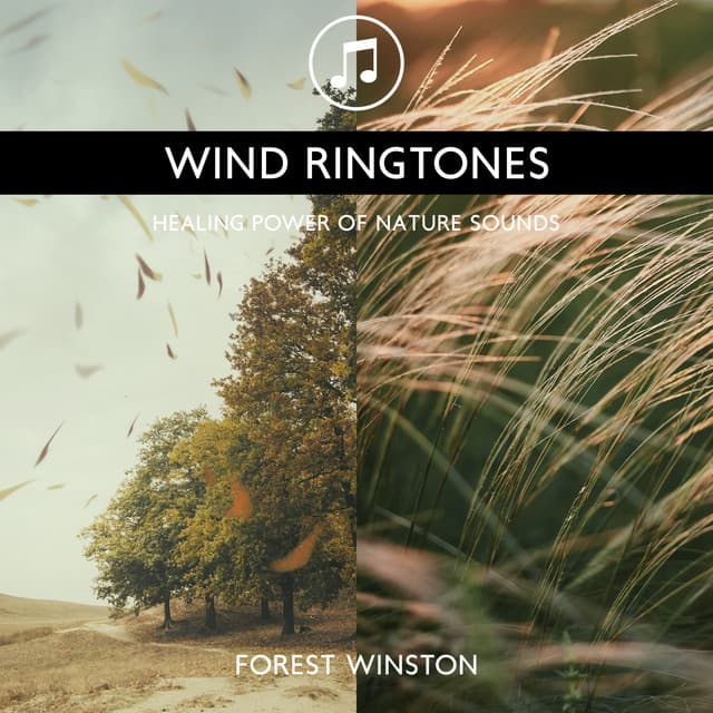 Wind Ringtones - Healing Power of Nature Sounds for Sleep and Relaxation, Storm Music - Forest Winston