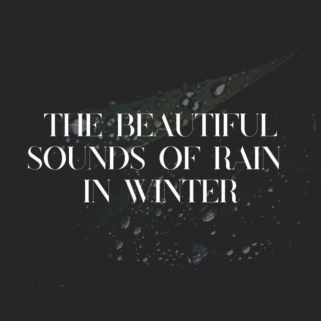 The Beautiful Sounds of Rain in Winter - Rain Sounds for Relaxation