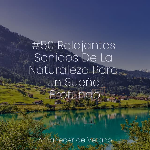 #50 Relajantes Sonidos De La Naturaleza Para Un Sueño Profundo - Spa