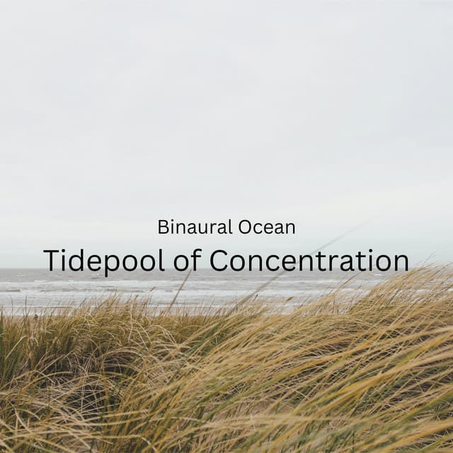 Binaural Ocean: Tidepool of Concentration - Binaural Beats Solitude