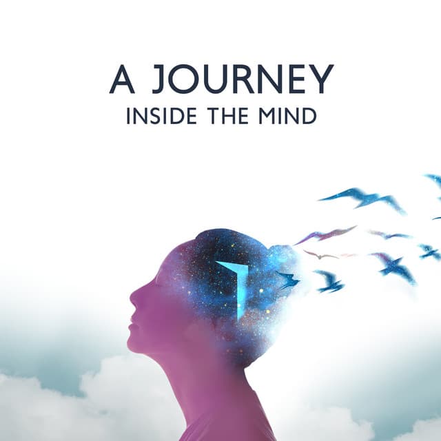 A Journey Inside The Mind - 7 Types Of Spirits