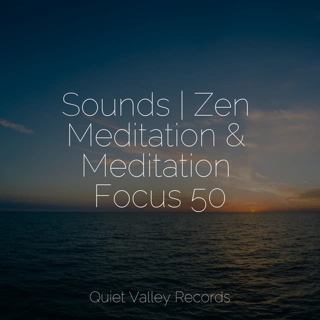 Sounds | Zen Meditation & Meditation Focus 50 - Yoga Trainer