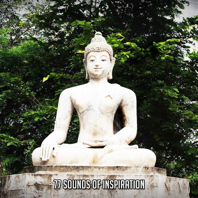 Relaxing Music Moods