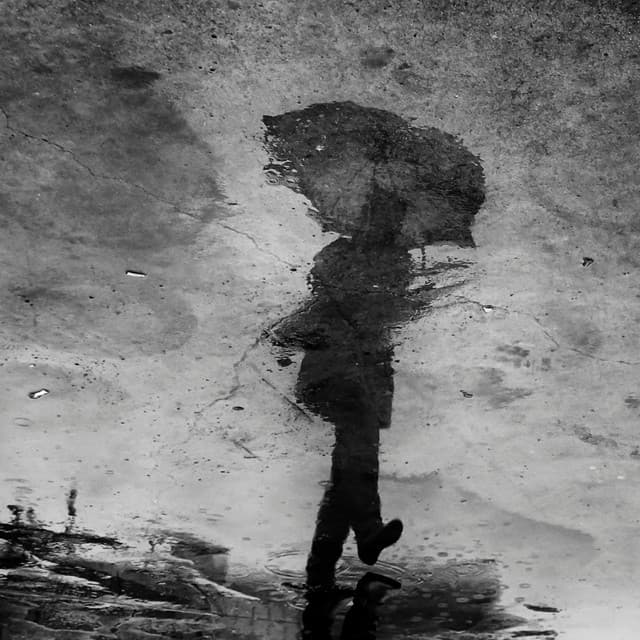 Rain's Embrace: Theta Waves, Relaxation - Rainfall Meditations