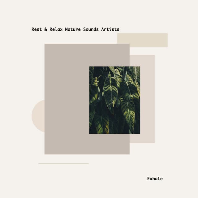 Exhale - Rest & Relax Nature Sounds Artists