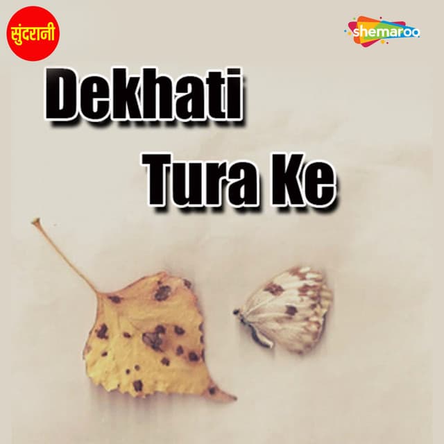 Dekhati Tura Ke - Dilip Shadangi