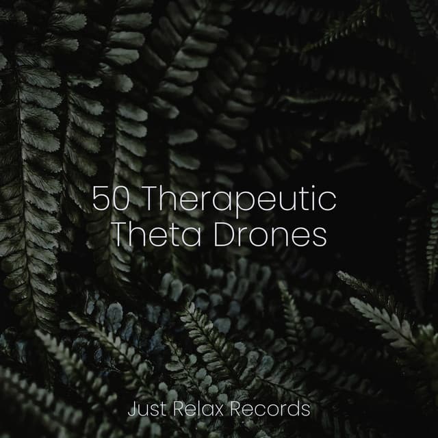 50 Therapeutic Theta Drones - Musica Reiki
